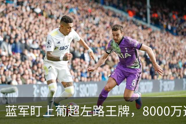 蓝军盯上葡超左路王牌，8000万违约金拦着，切尔西却已经敲门了